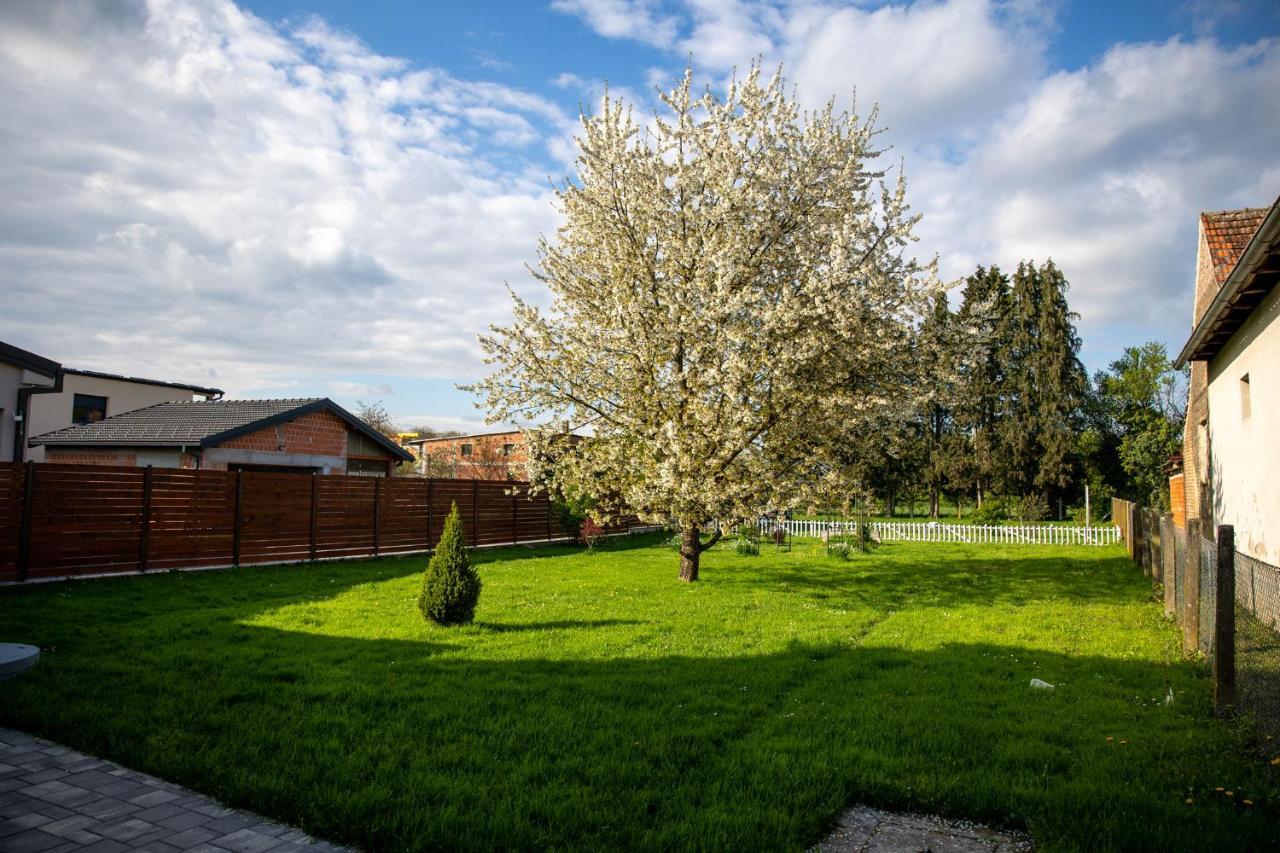 Apartman Ena Bjelovar Exterior foto